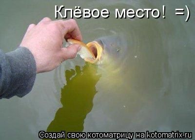 ����-������ �� www.RzhuNeMogu.ru � 47209