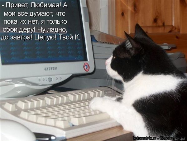 ����-������ �� www.RzhuNeMogu.ru � 47210