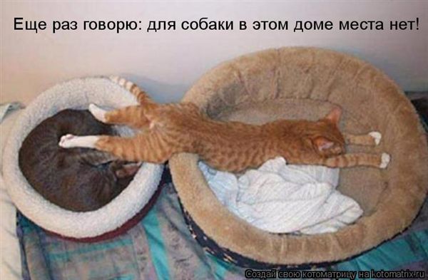 ����-������ �� www.RzhuNeMogu.ru � 47211