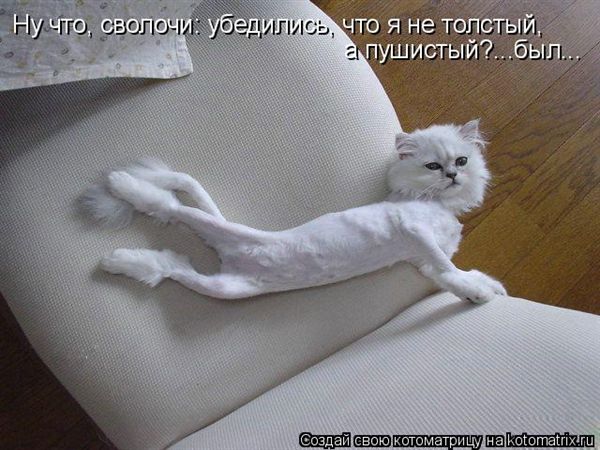 ����-������ �� www.RzhuNeMogu.ru � 47212