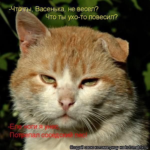 ����-������ �� www.RzhuNeMogu.ru � 47214