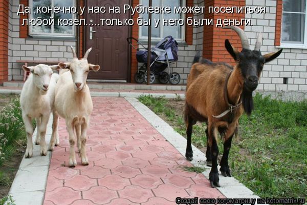 ����-������ �� www.RzhuNeMogu.ru � 47215