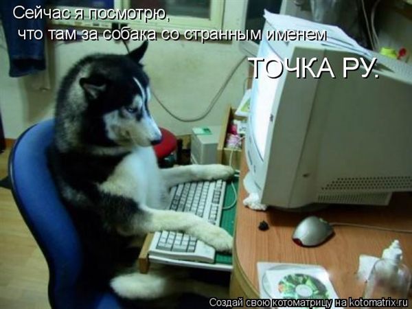 ����-������ �� www.RzhuNeMogu.ru � 47216