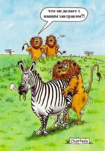 ����-������ �� www.RzhuNeMogu.ru � 47234