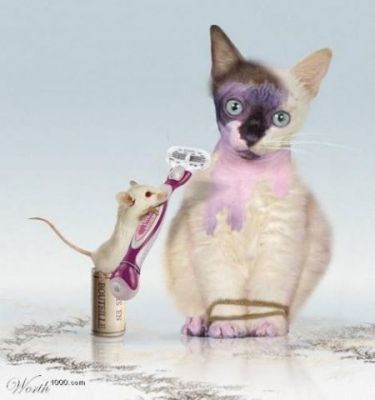 ����-������ �� www.RzhuNeMogu.ru � 47247