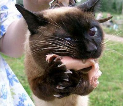 ����-������ �� www.RzhuNeMogu.ru � 47251