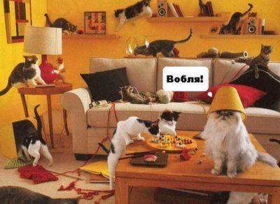 ����-������ �� www.RzhuNeMogu.ru � 47252