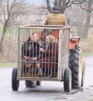 ����-������ �� www.RzhuNeMogu.ru � 47254