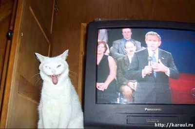 ����-������ �� www.RzhuNeMogu.ru � 47257