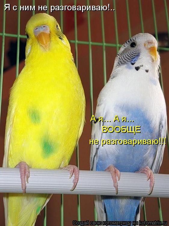 ����-������ �� www.RzhuNeMogu.ru � 47284