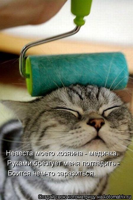 ����-������ �� www.RzhuNeMogu.ru � 47286