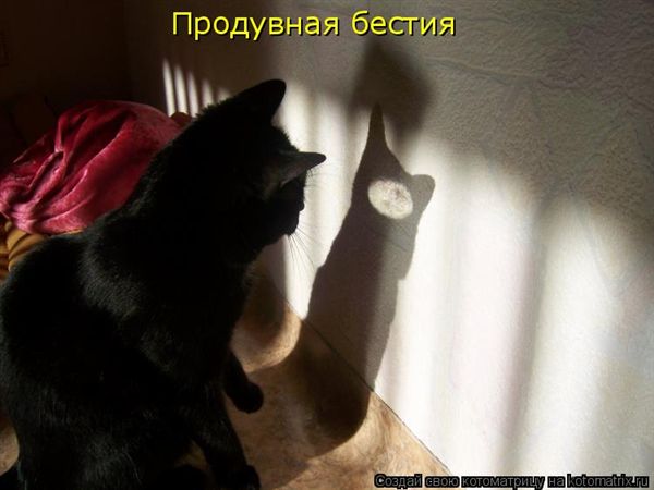 ����-������ �� www.RzhuNeMogu.ru � 47287