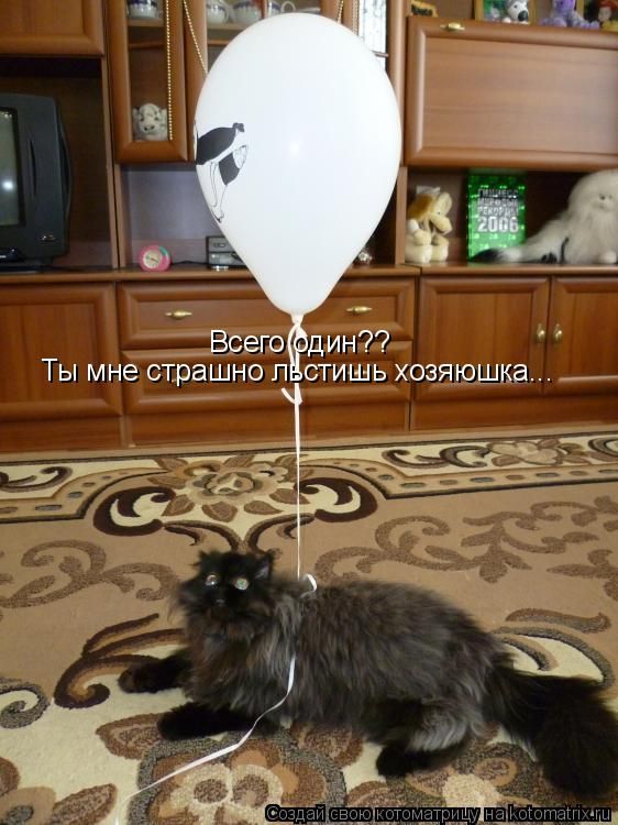 ����-������ �� www.RzhuNeMogu.ru � 47288