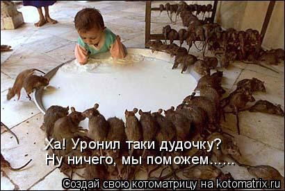 ����-������ �� www.RzhuNeMogu.ru � 47289