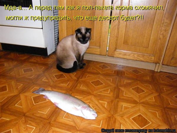 ����-������ �� www.RzhuNeMogu.ru � 47291