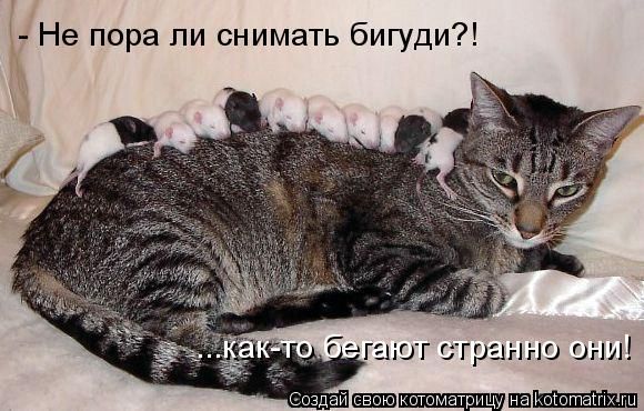 ����-������ �� www.RzhuNeMogu.ru � 47292