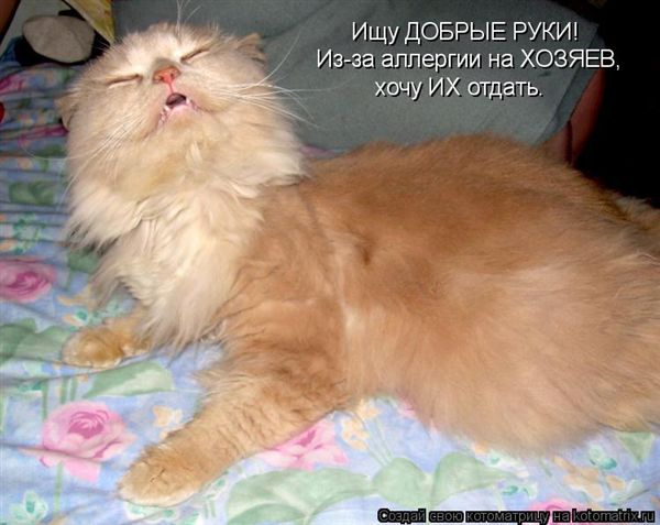 ����-������ �� www.RzhuNeMogu.ru � 47293