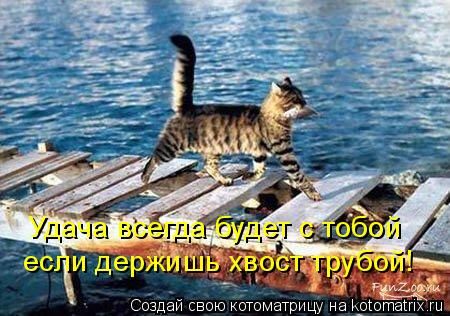 ����-������ �� www.RzhuNeMogu.ru � 47294