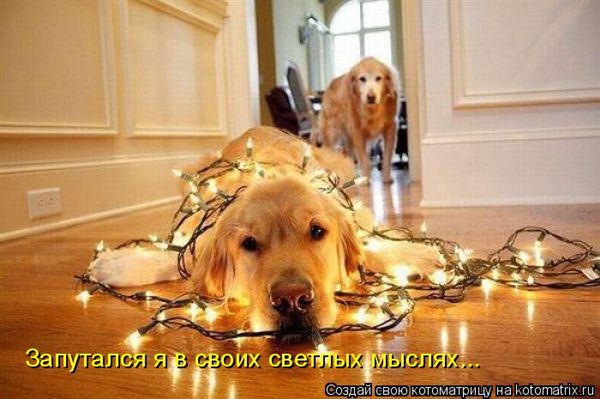 ����-������ �� www.RzhuNeMogu.ru � 47295