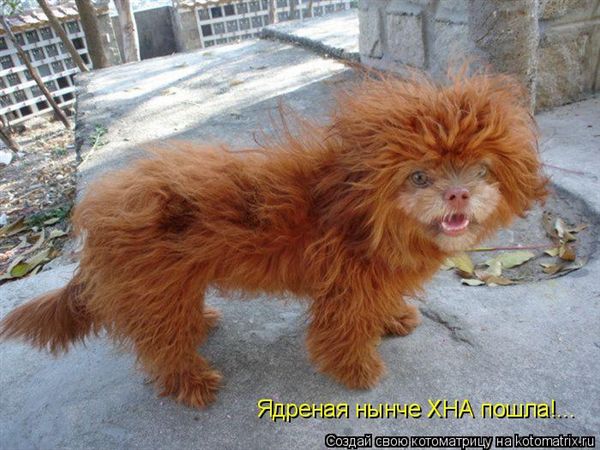 ����-������ �� www.RzhuNeMogu.ru � 47347