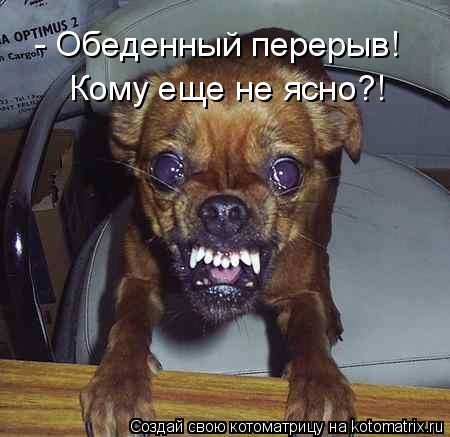 ����-������ �� www.RzhuNeMogu.ru � 47348