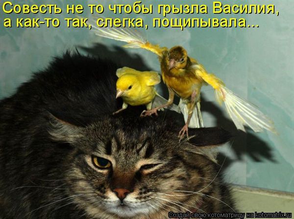 ����-������ �� www.RzhuNeMogu.ru � 47351