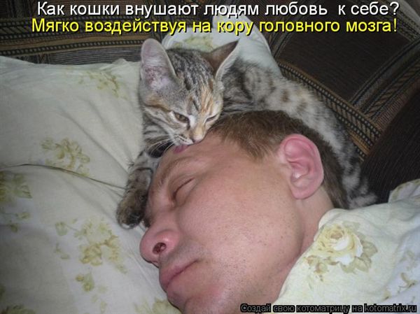 ����-������ �� www.RzhuNeMogu.ru � 47352