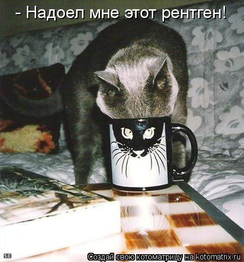 ����-������ �� www.RzhuNeMogu.ru � 47353