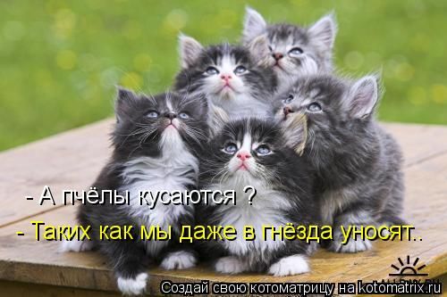 ����-������ �� www.RzhuNeMogu.ru � 47354