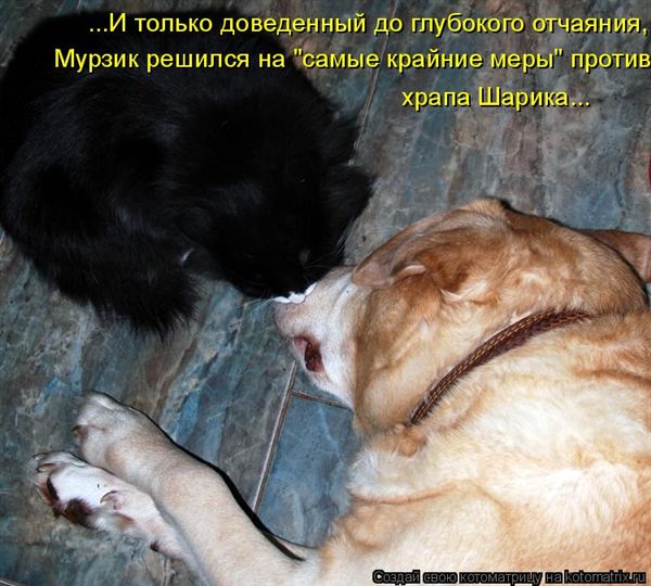 ����-������ �� www.RzhuNeMogu.ru � 47358