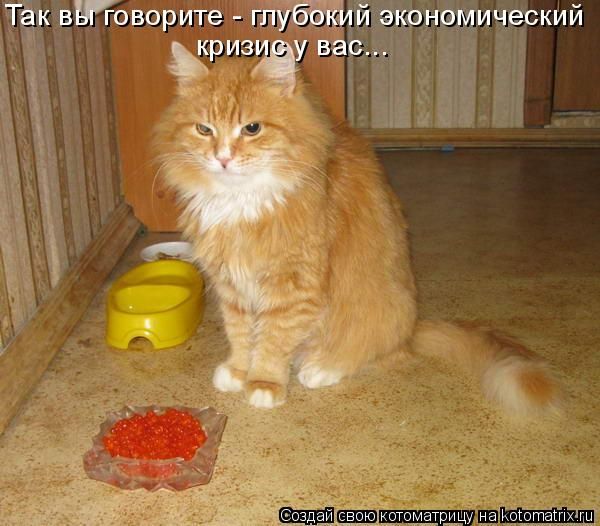 ����-������ �� www.RzhuNeMogu.ru � 47361