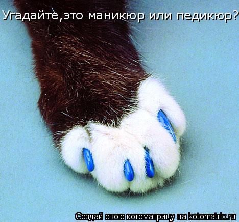 ����-������ �� www.RzhuNeMogu.ru � 47364