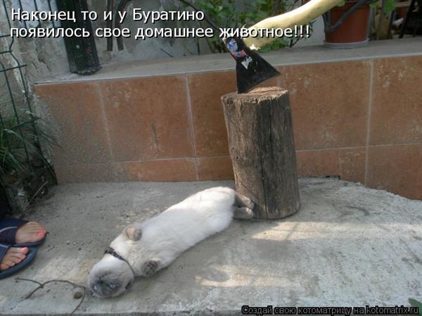 ����-������ �� www.RzhuNeMogu.ru � 47367