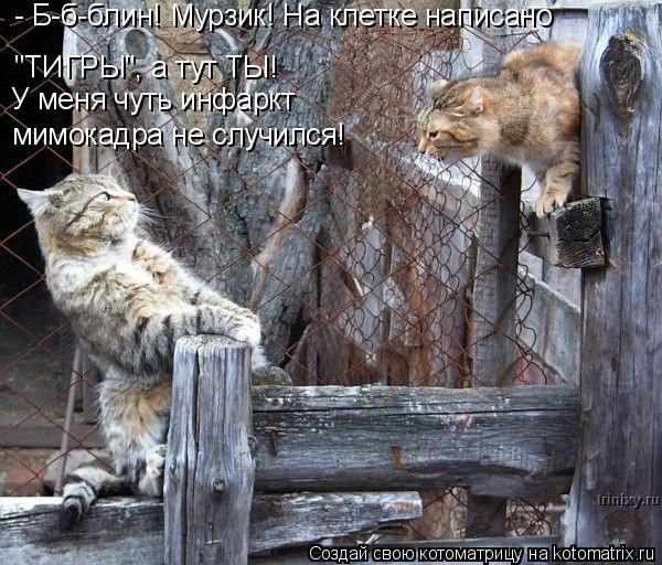 ����-������ �� www.RzhuNeMogu.ru � 47368