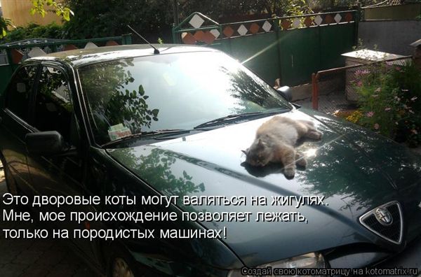 ����-������ �� www.RzhuNeMogu.ru � 47369