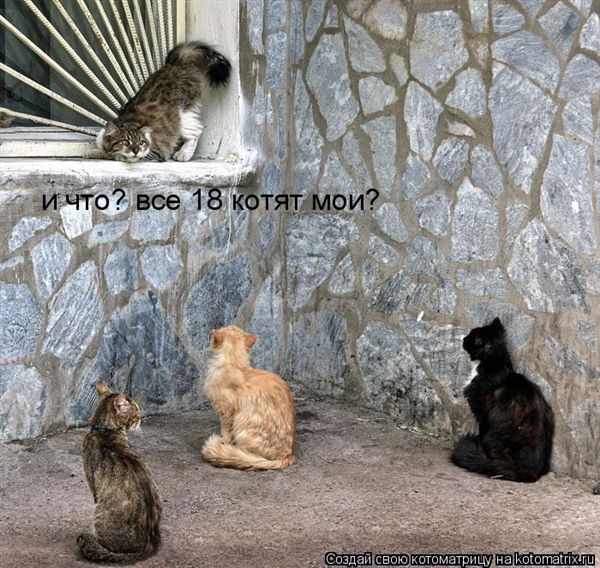 ����-������ �� www.RzhuNeMogu.ru � 47370