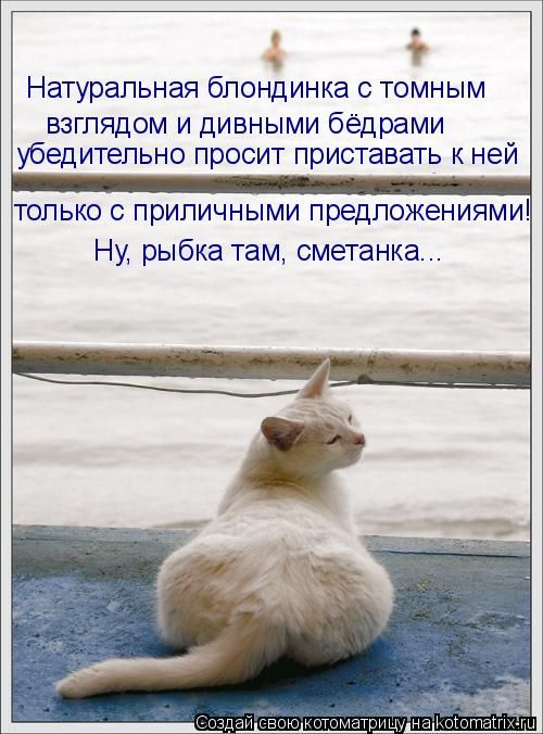 ����-������ �� www.RzhuNeMogu.ru � 47371