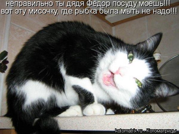 ����-������ �� www.RzhuNeMogu.ru � 47372