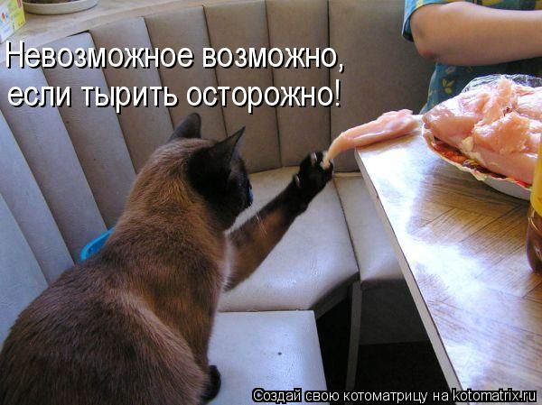 ����-������ �� www.RzhuNeMogu.ru � 47374