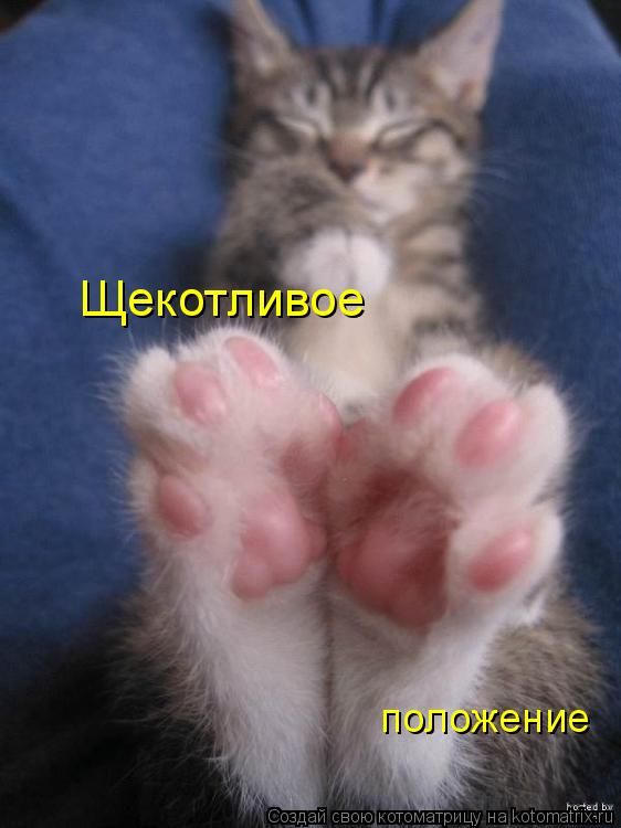 ����-������ �� www.RzhuNeMogu.ru � 47375