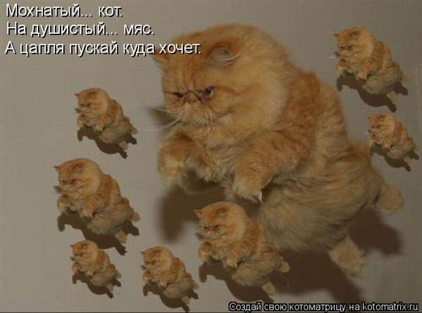 ����-������ �� www.RzhuNeMogu.ru � 47378