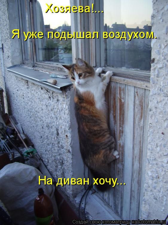 ����-������ �� www.RzhuNeMogu.ru � 47379