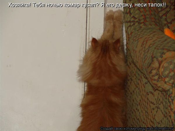 ����-������ �� www.RzhuNeMogu.ru � 47380