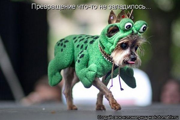 ����-������ �� www.RzhuNeMogu.ru � 47381