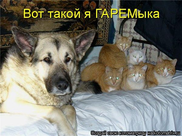 ����-������ �� www.RzhuNeMogu.ru � 47382