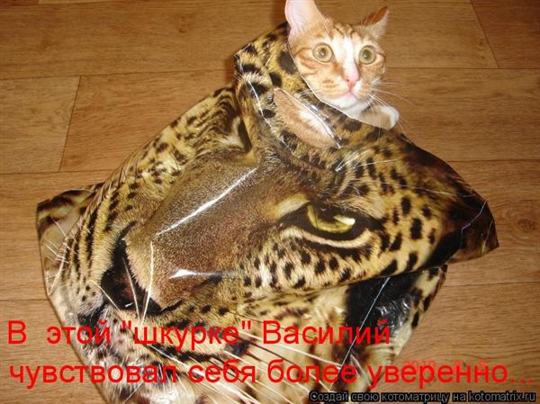 ����-������ �� www.RzhuNeMogu.ru � 47383