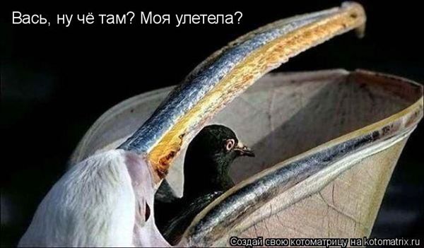 ����-������ �� www.RzhuNeMogu.ru � 47385