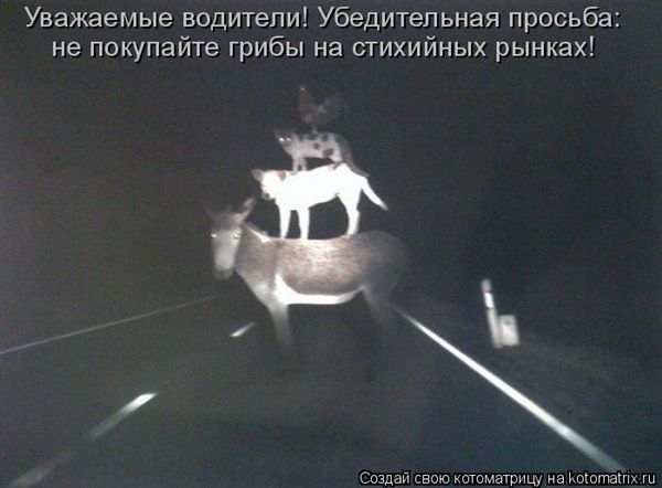 ����-������ �� www.RzhuNeMogu.ru � 47387