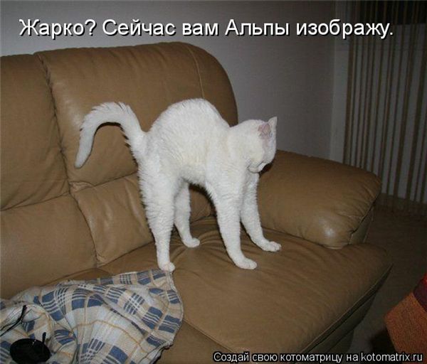 ����-������ �� www.RzhuNeMogu.ru � 47390