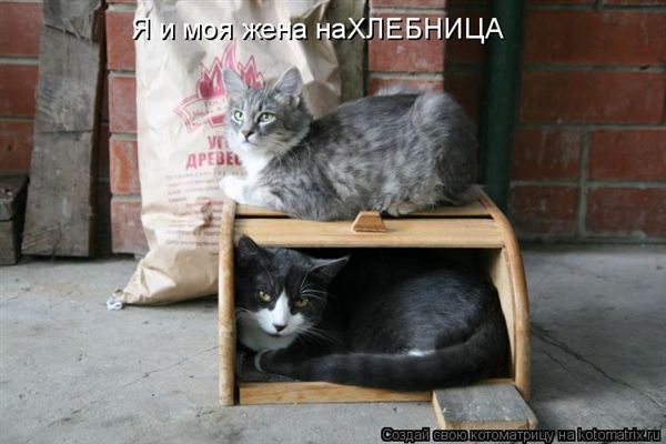 ����-������ �� www.RzhuNeMogu.ru � 47439